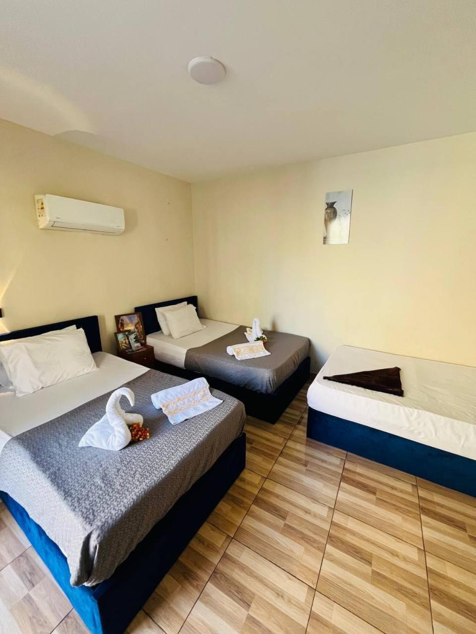 Hotel New Revento 3*